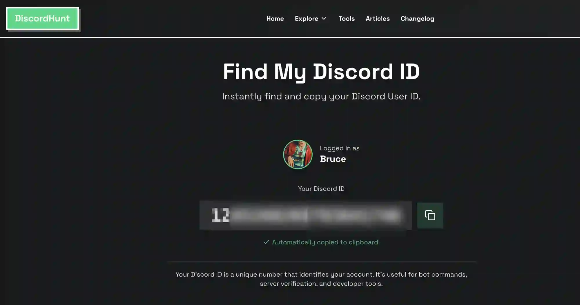 DiscordHunt Find My Discord ID Tool